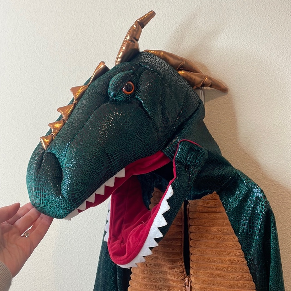 Dinosaur Halloween Costume